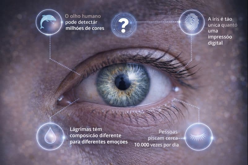Curiosidades na oftalmologia: fatos sobre os olhos que quase ninguém conhece